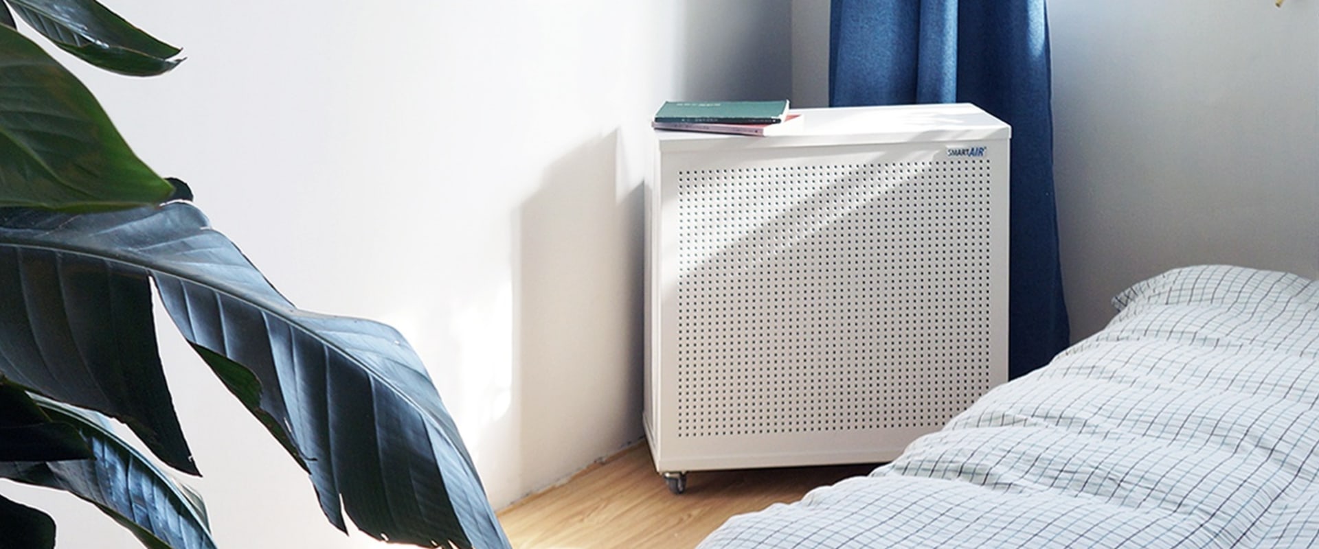 Should You Leave an Air Purifier On All the Time? - The Expert's Guide